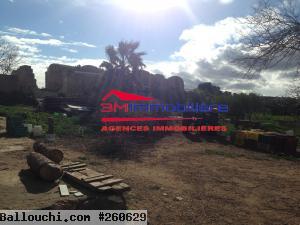 Ferme jbal hadded 3m346