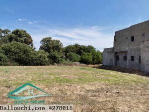 VT343:Terrain d’habitation 285 m² à ezzahra Kelibia