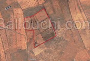 A vendre Terrain Agricole 16Hectares a Medenine