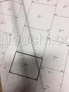 A vendre un lot de terrain à Hammamet : ref 4836 a