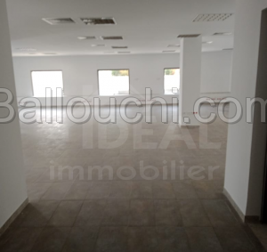Open space de 236M² au Lac2