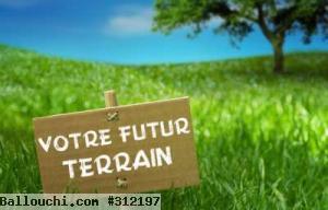 Terrain Cactus 235 m² à Hammamet Nord