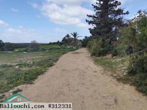VT571:Terrain d’habitations 247 m² à Kelibia
