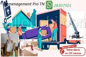 Transporteur ,Déménagement Tunisie a votre services tel 28307501