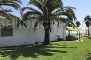 Bungalow NOISETTE(Réf: L1981)