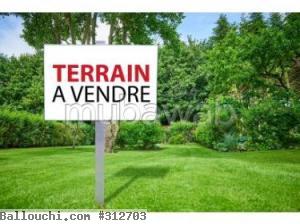 Terrain Amir 429 m² aux deux oueds Hammamet Nord