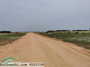 VT597:Trois lots de terrain à plage Kerkouene