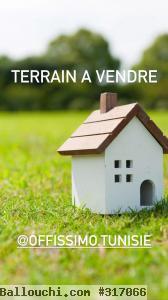 terrain jardin de carthage