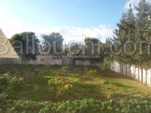 Villa GOLDEN GAMMARTH (Réf: V459)