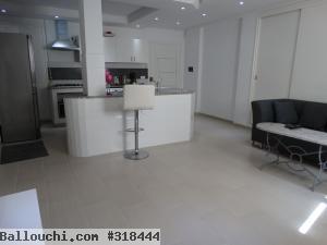 Appartement LOTUS 1(Réf: L1890)