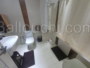 Appartement BRILLANT(Réf: L2292)
