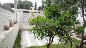 Appartement HERCULE(Réf: L867)