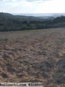 Terrain Wael T955 Hammamet