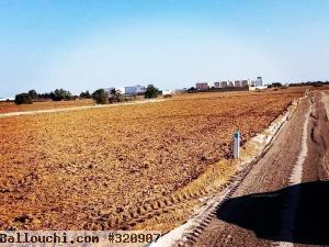 Lots des terrains à vendre à Hammamet-yasmine