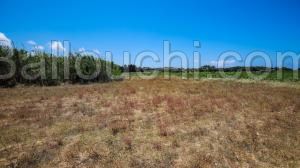 Lots de terrain a vendre Al- Haouaria