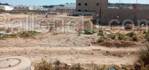 terrain a vendre a bhar lazreg