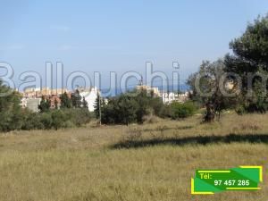 Chatt Mariem Lot de terrain (1000/500m²)