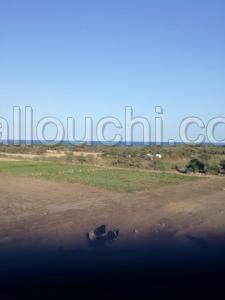 terrain a vendrde à kerkaoune