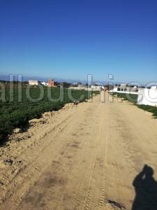 terrain a vendrde à kerkaoune
