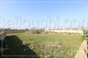 Vente terrain