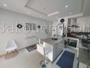 Appartement BRILLANT(Réf: L2291)
