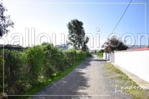 Vente terrain/ 