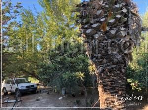 Vente beau terrain à La Soukra / 