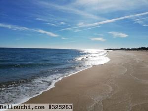 seulement 8500 a hammamet