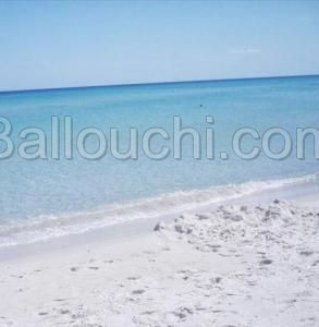 A VENDRE TERRAIN A Hammam Ghezaz KELIBIA