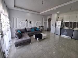 Appartement GRIS(Réf: L2474)