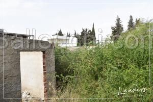 Vente beau terrain à Chotrana1