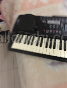 orgue MEG TB810A