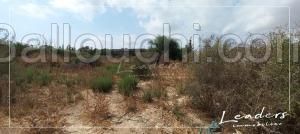 un beau terrain a vendre