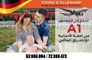 Allemand pour regroupement familial (A1)