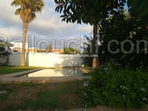 Villa LES DEUX PALMIERS (Réf: V738)