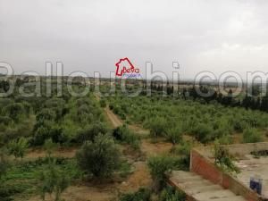 somaa , une ferme avec de l’eau douce
