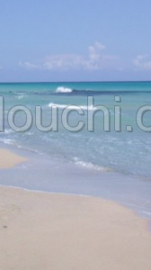 Paradis sur terre