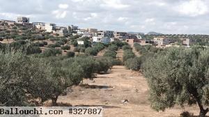 terrain a vendre