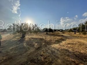 terrain a vendre