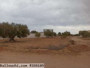Terrain à Djerba