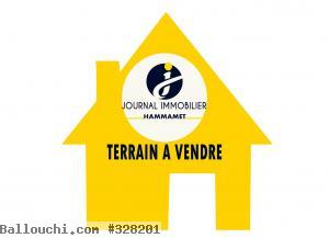 Terrain Carrefour Hammamet