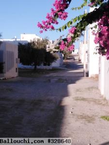 un terrain à Hammamet avec un prix imbattable