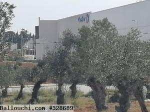 Terrain de 596m titré près Mall Of Sousse