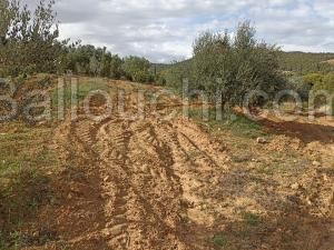 terrain agricole à vendre
