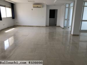 Open space 155m² au lac 2