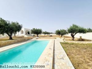 Ferme Tulipe T951 Oued El Kharroub vers bouficha