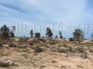 A vendre, Un terrain constructible de 760 m² avec un titre foncier situé à Djerba-Ghizen