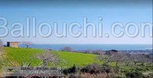 Des lots de terrain à Mételine Bizerte