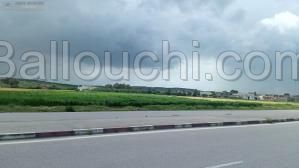 Des lots de terrain sur la route de faroua à Menzel Borguiba Bizerte