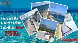 Terrain a vendre à dar allouche kélibia 29711072